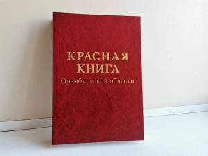 Раскраска красная книга россии #23 #354921