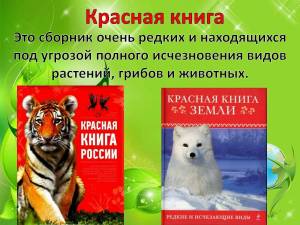 Раскраска красная книга россии #24 #354922