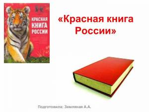Раскраска красная книга россии #28 #354926