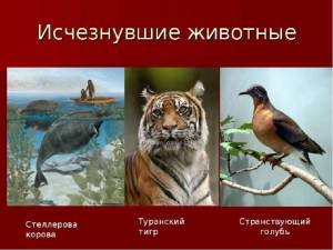 Раскраска красная книга россии животные и растения #2 #354939