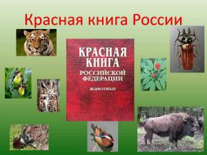 Раскраска красная книга россии животные и растения #5 #354942