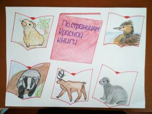 Раскраска красная книга россии животные и растения #12 #354949