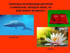Раскраска красная книга россии животные и растения #19 #354956
