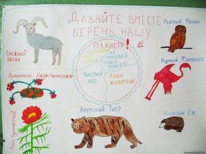 Раскраска красная книга россии животные и растения #25 #354962