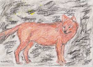 Раскраска красный волк из красной книги россии #28 #355189