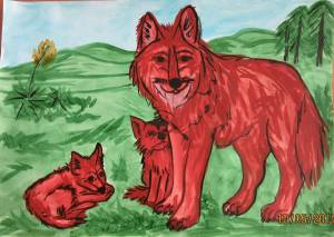 Раскраска красный волк из красной книги россии #30 #355191
