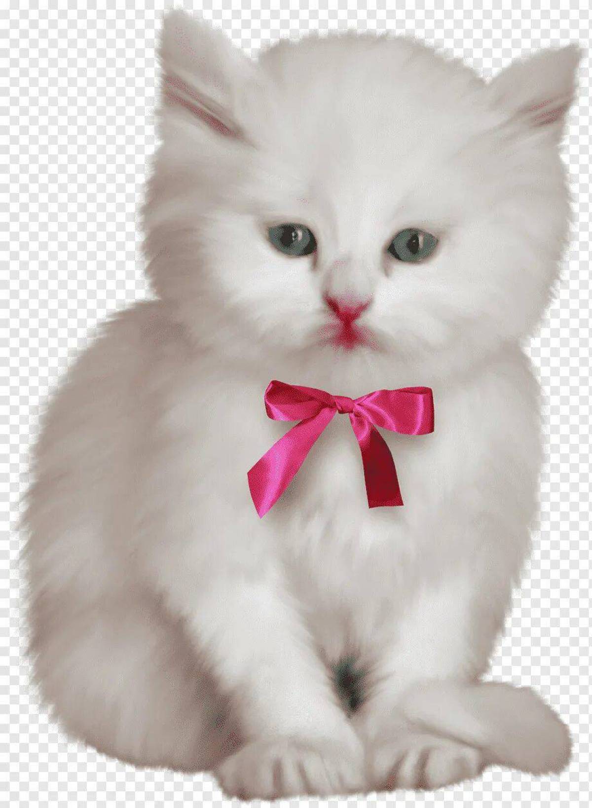 Кошечка с бантиком. Котенок с бантиком. Красивая кошечка с бантиком. Белый котенок с бантиком. Котенок на прозрачном фоне.