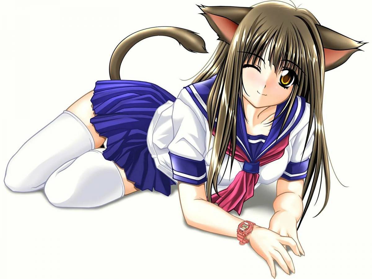 Кошка аниме девушка #12