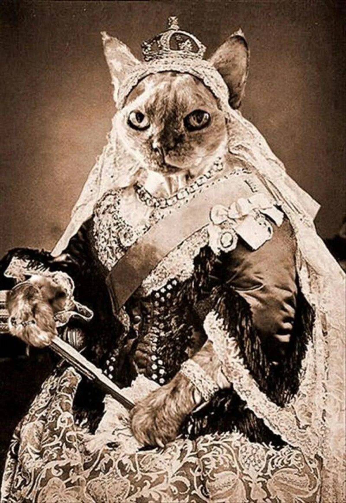 Кошка королева #33