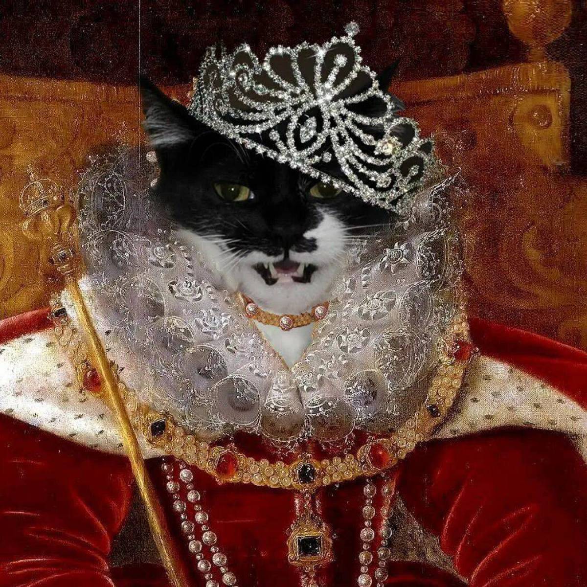 Кошка королева #36