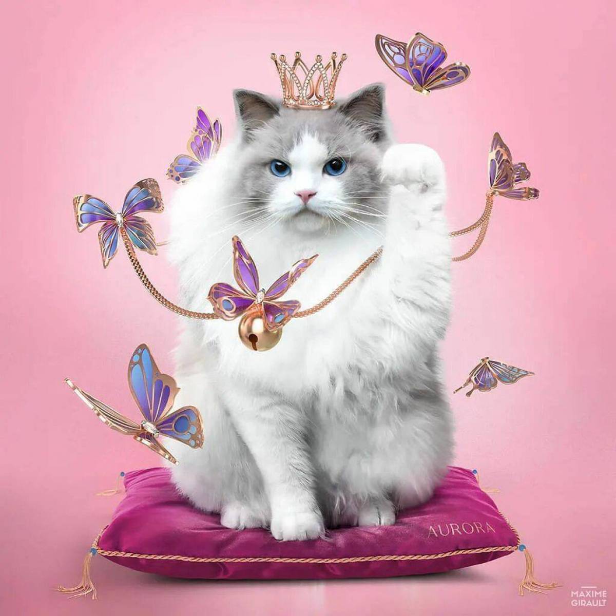 Кошка принцесса #13