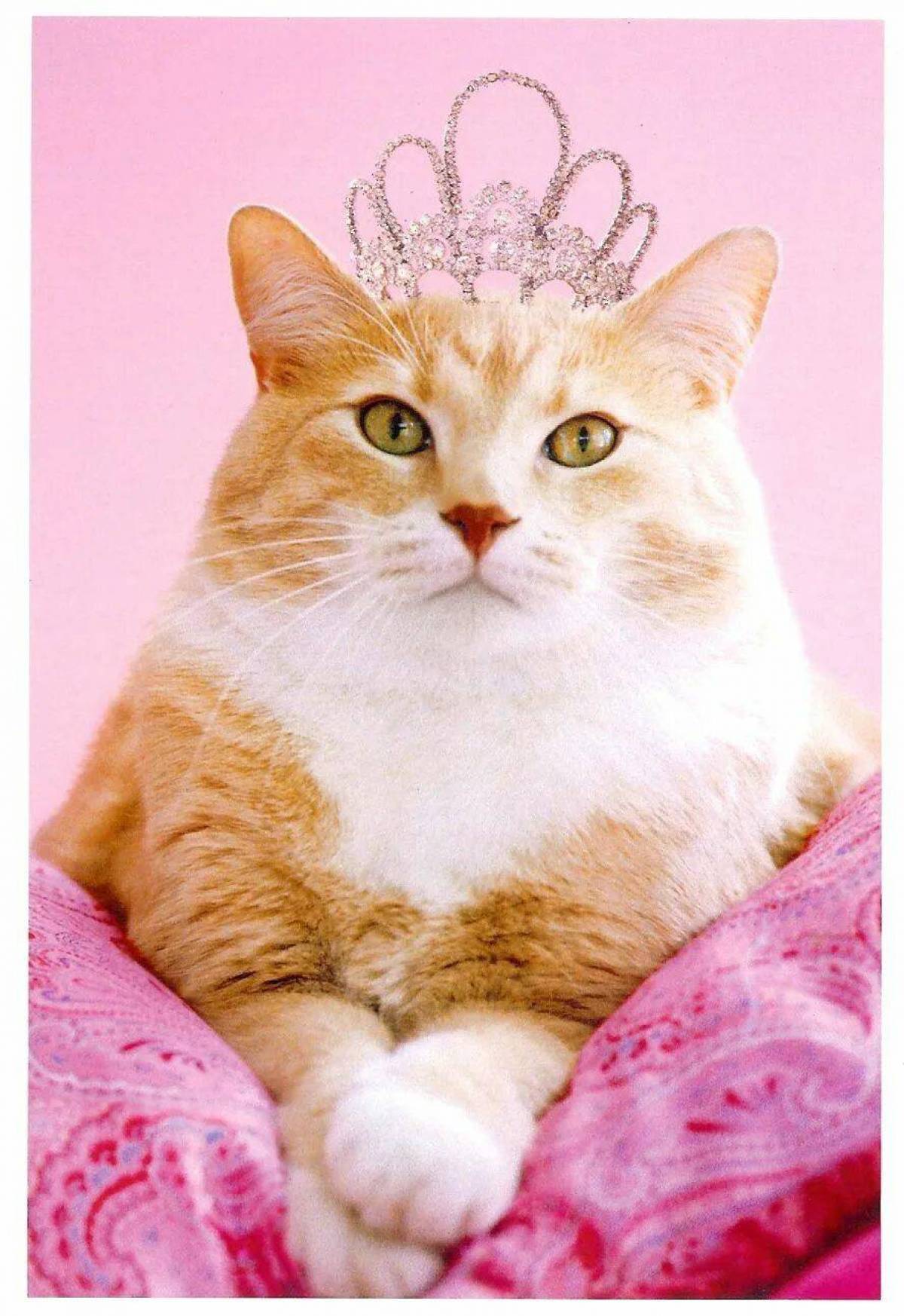 Кошка принцесса #24