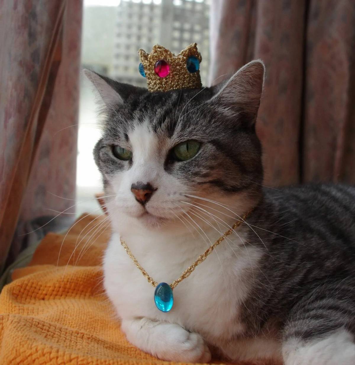 Кошка принцесса #31