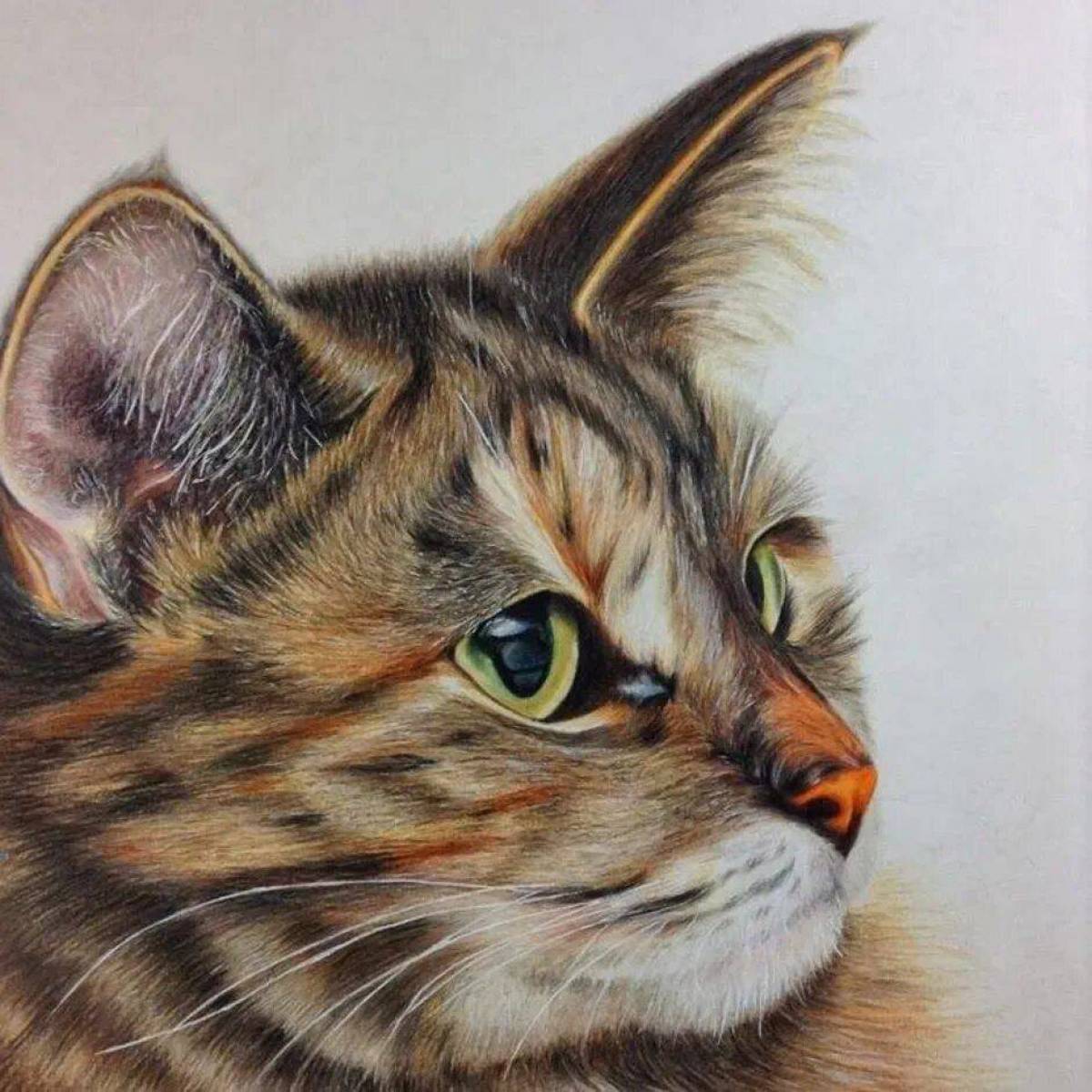 Кот рисунок цветной. Кошка цветными карандашами. Акварельными карандашами котенок. Рисунки цветные. Живопись цветными карандашами.