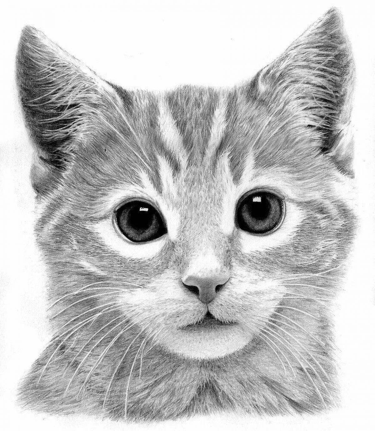 Черно белые картинки котят. Кот карандашом. Котик рисунок. Котенок рисунок. Морда кошки рисунок.