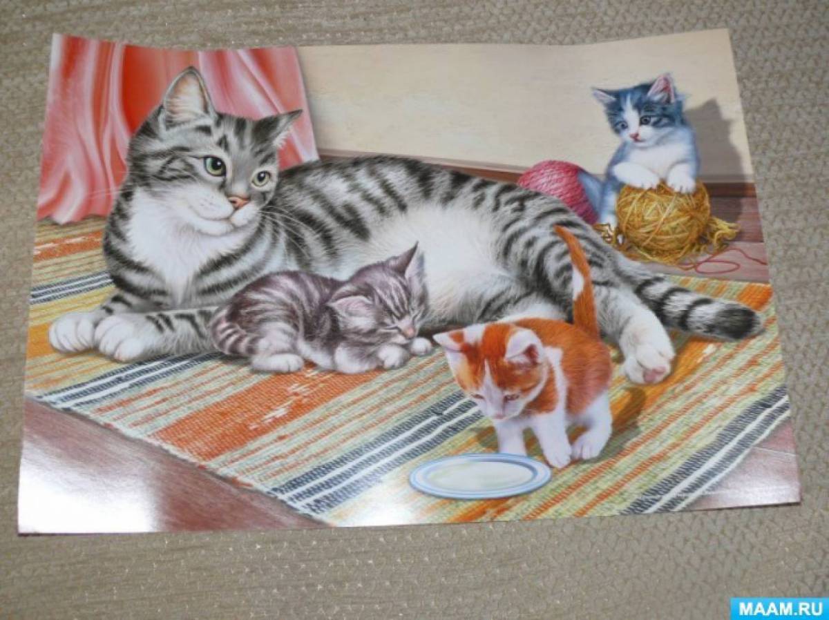Кошка с котятами для детей #19