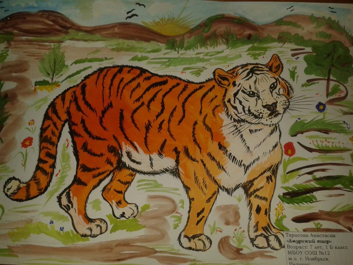 Красная книга амурский тигр #3