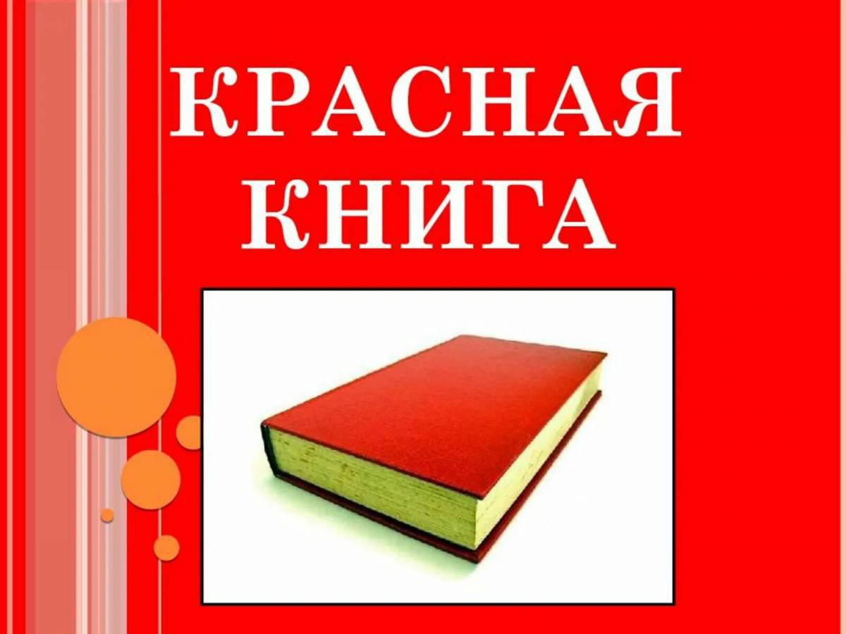 Красная книга для детей #1