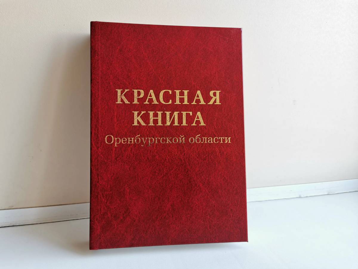 Красная книга россии #23