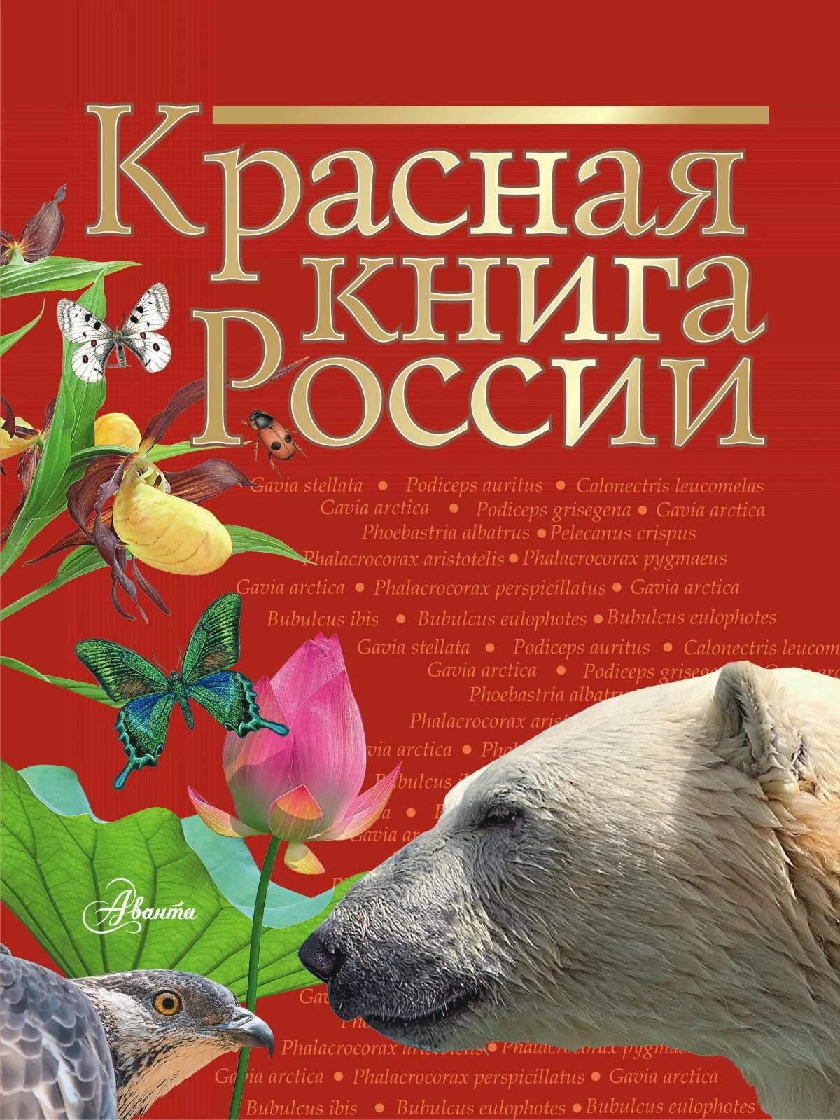 Красная книга россии #35