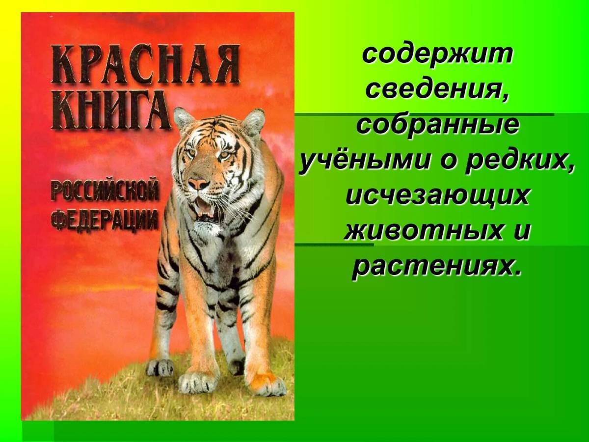 Красная книга россии животные и растения #6