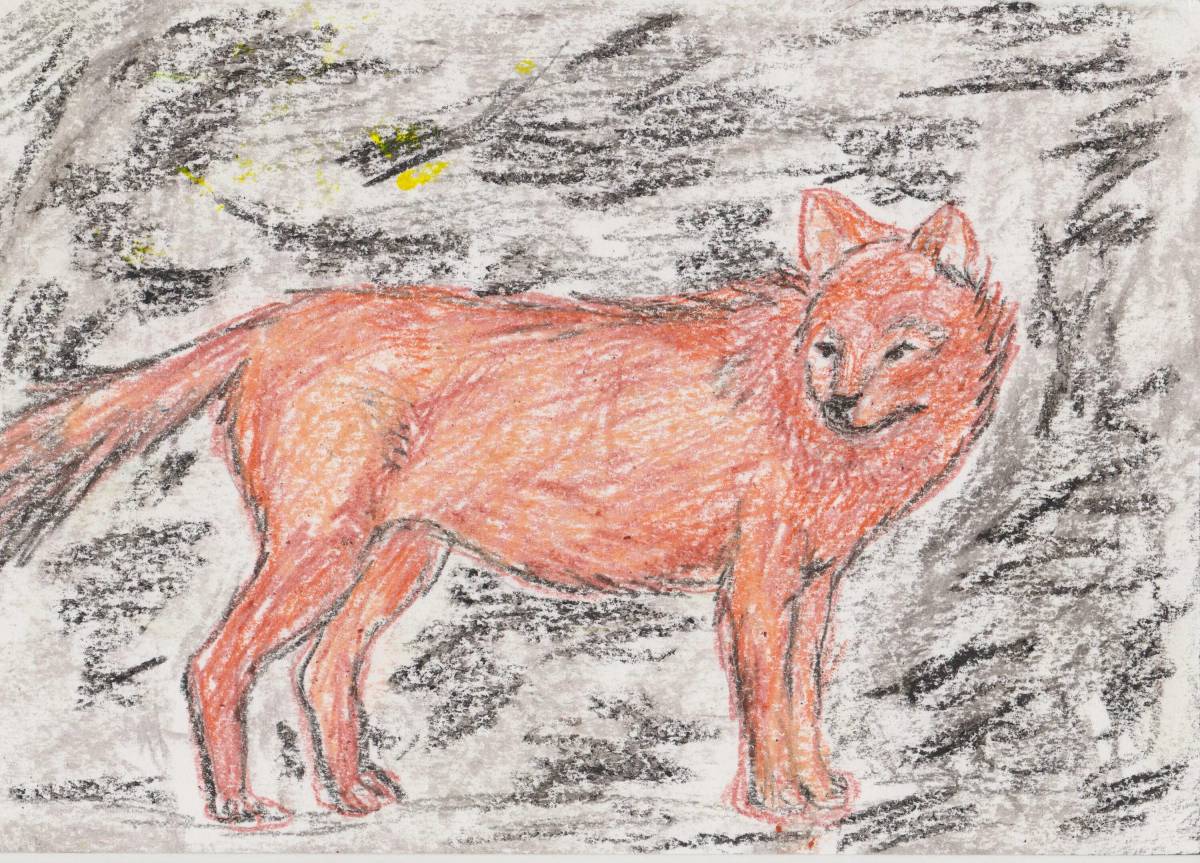 Красный волк из красной книги #32