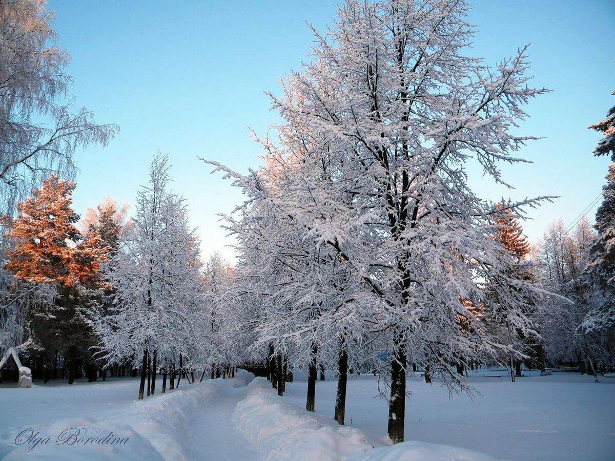Красота зимы 2 класс окружающий мир #13