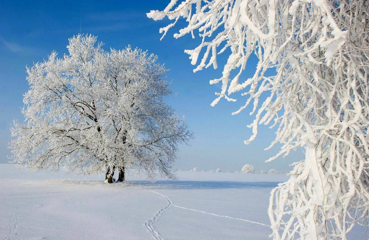 Красота зимы 2 класс окружающий мир #27