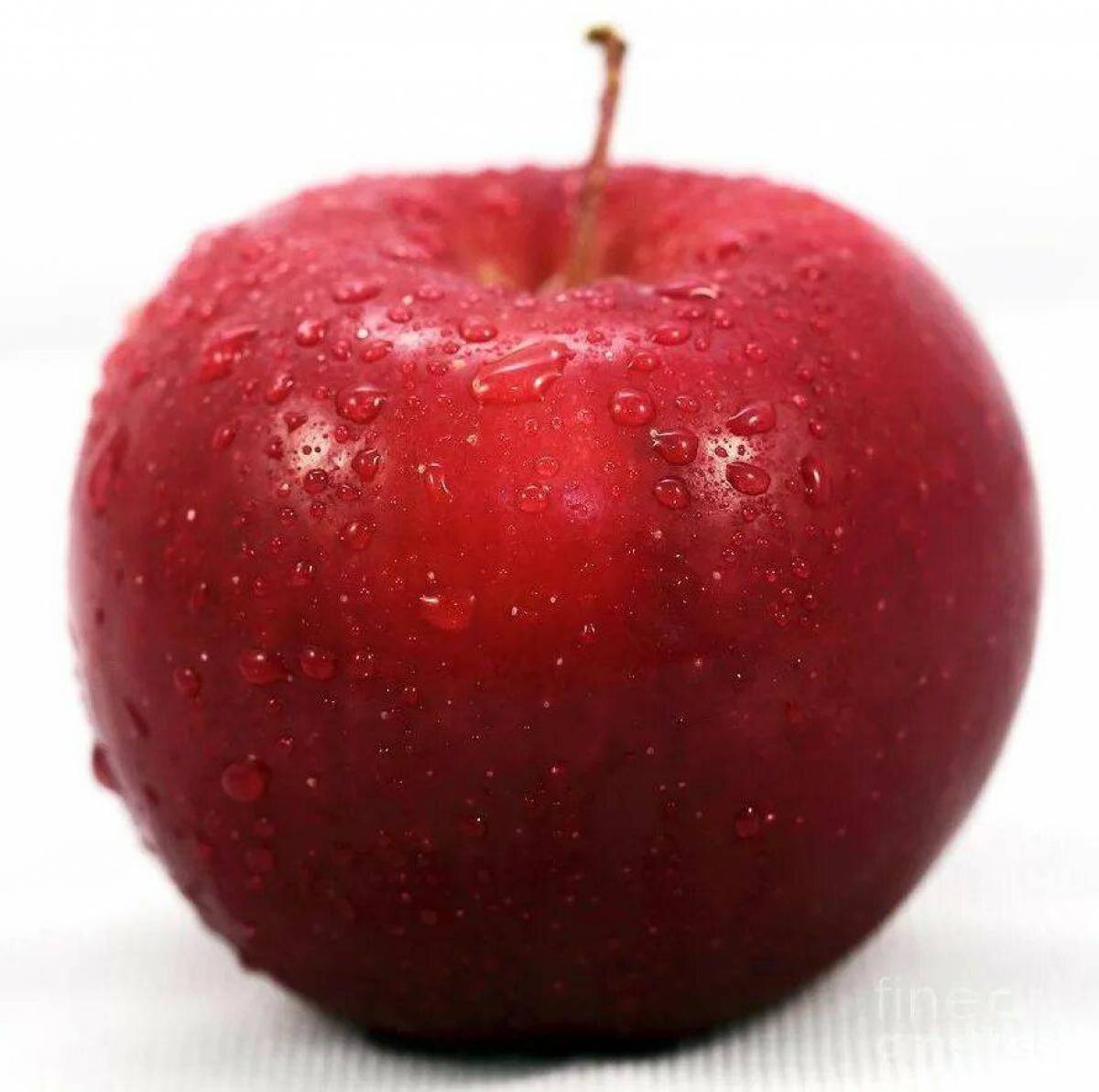 фотография красного яблока