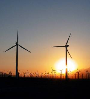 Раскраска windfree #25 #32601