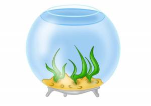 Раскраска аквариум для детей #1 #33574