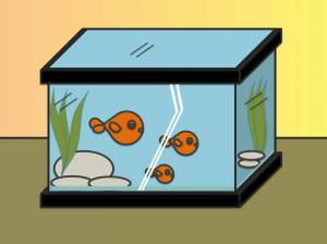 Раскраска аквариум для детей #13 #33586