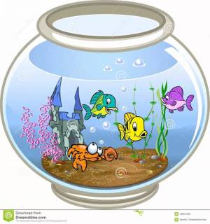 Раскраска аквариум для детей #16 #33589