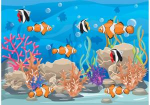 Раскраска аквариум для детей #24 #33597