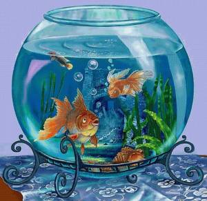 Раскраска аквариум для детей #25 #33598