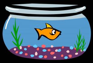 Раскраска аквариум для детей #33 #33606