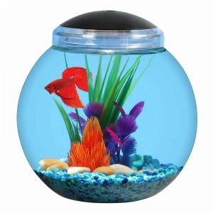 Раскраска аквариум с рыбками #9 #33615