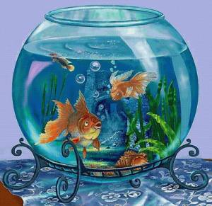 Раскраска аквариум с рыбками #17 #33623