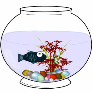 Раскраска аквариум с рыбками #21 #33627