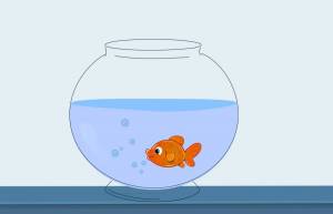 Раскраска аквариум с рыбками для детей #9 #33643
