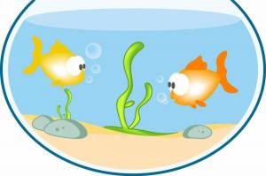 Раскраска аквариум с рыбками для детей #19 #33653
