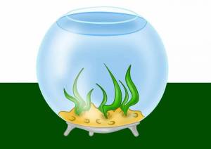 Раскраска аквариум с рыбками для детей #34 #33668