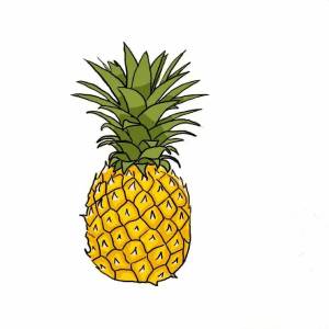 Раскраска ананас для детей #33 #35161