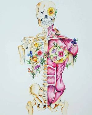 Раскраска анатомия #23 #35184