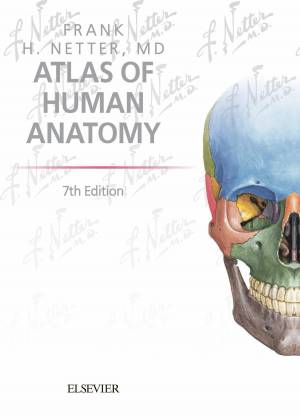 Раскраска анатомия неттера атлас #7 #35199