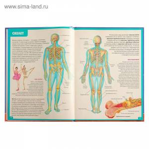 Раскраска анатомия человека атлас #16 #35243