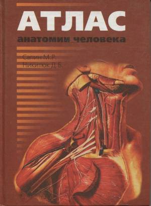 Раскраска анатомия человека атлас #20 #35247