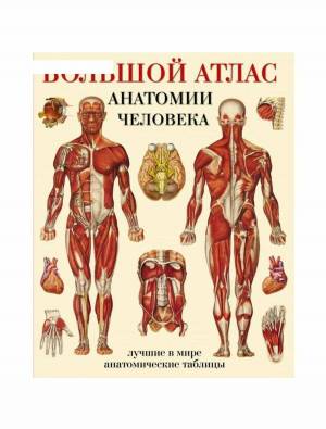 Раскраска анатомия человека атлас #27 #35254