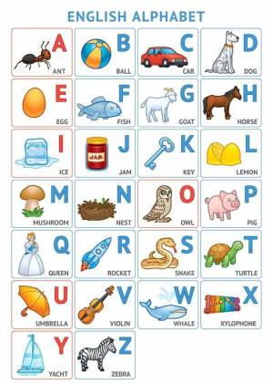 Раскраска английский алфавит для детей #24 #35567