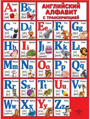 Раскраска английский алфавит для детей #28 #35571